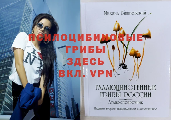 дживик Арсеньев