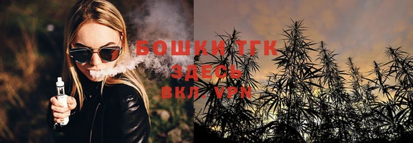 дживик Арсеньев